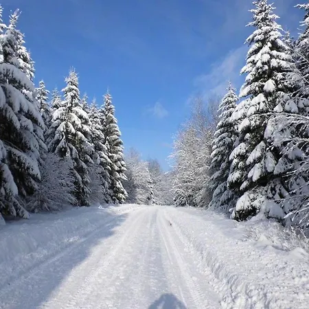 Holiday Log Cabin شقة فيلديمان